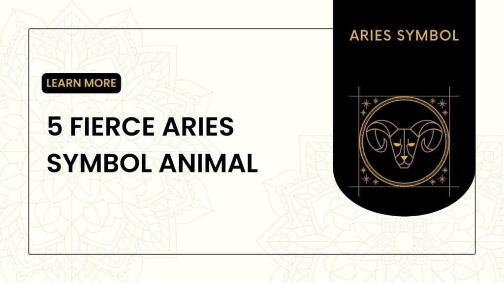 5 Fierce Aries Symbol Animal: Beyond the Ram 2024