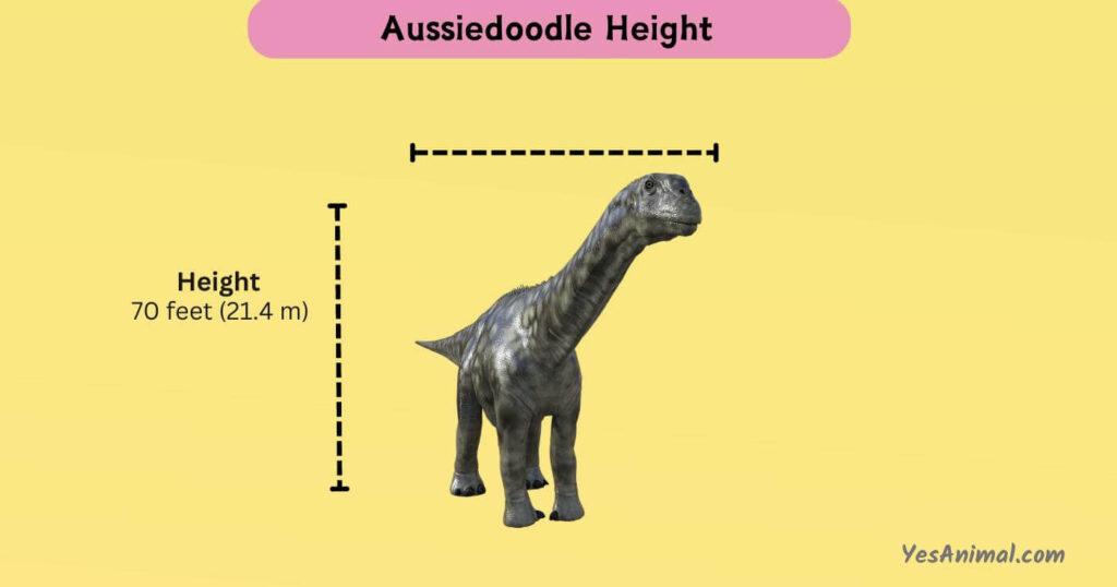 Argentinosaurus Height and Length