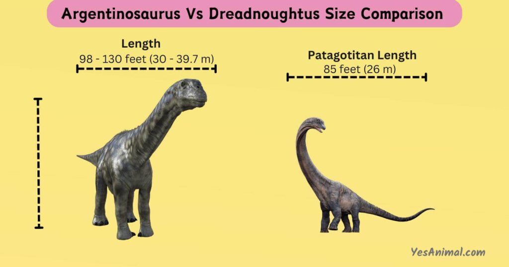 Argentinosaurus Vs Dreadnoughtus Size Comparison