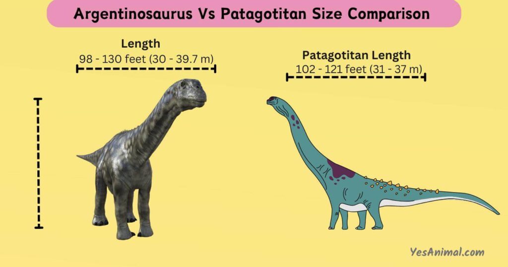 Argentinosaurus Vs Patagotitan Size Comparison