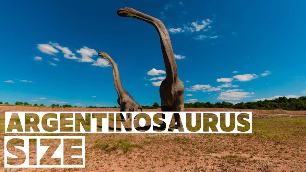 The Great Argentinosaurus: Unveiling Its actual Size 2024